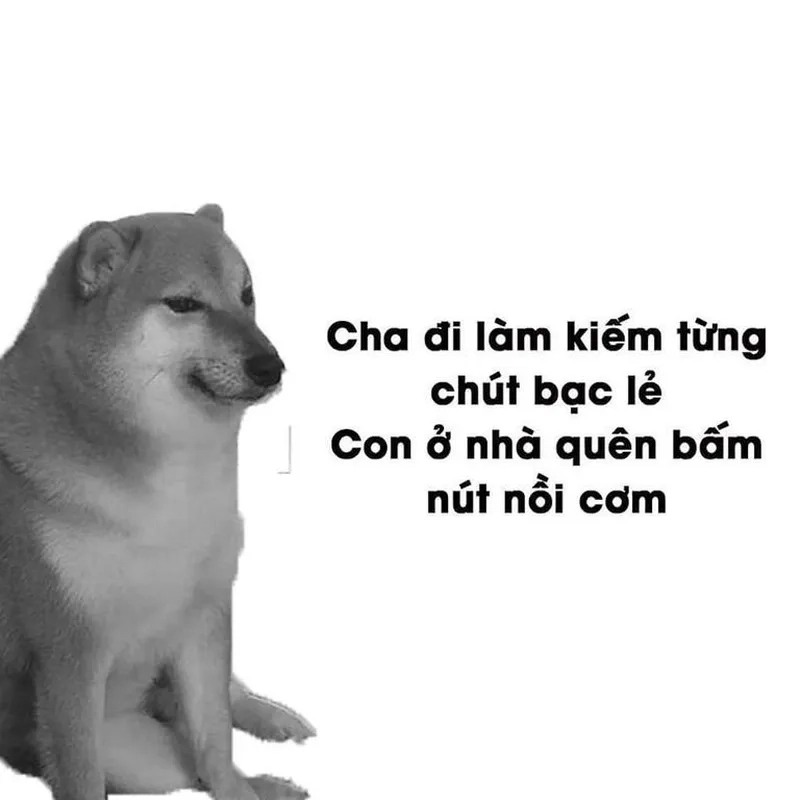 Meme chó khóc siêu dễ thương và hài hước, mang đến những phút giây thư giãn thú vị.