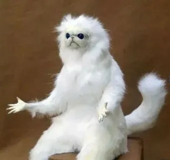 Những người que cute ảnh meme hài này sẽ làm bạn cười thả ga!