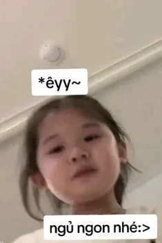 Nhộn hài meme chuột hamster này cực kỳ vui nhộn và dễ thương!