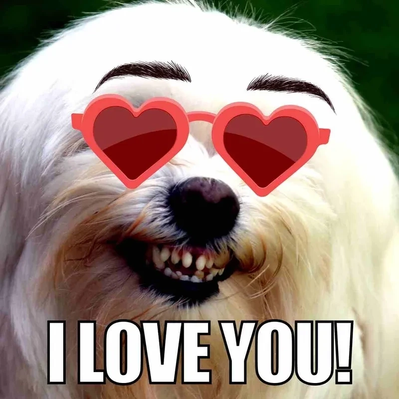 Tỏa sáng ngày mới với loopy meme love đầy ấn tượng.
