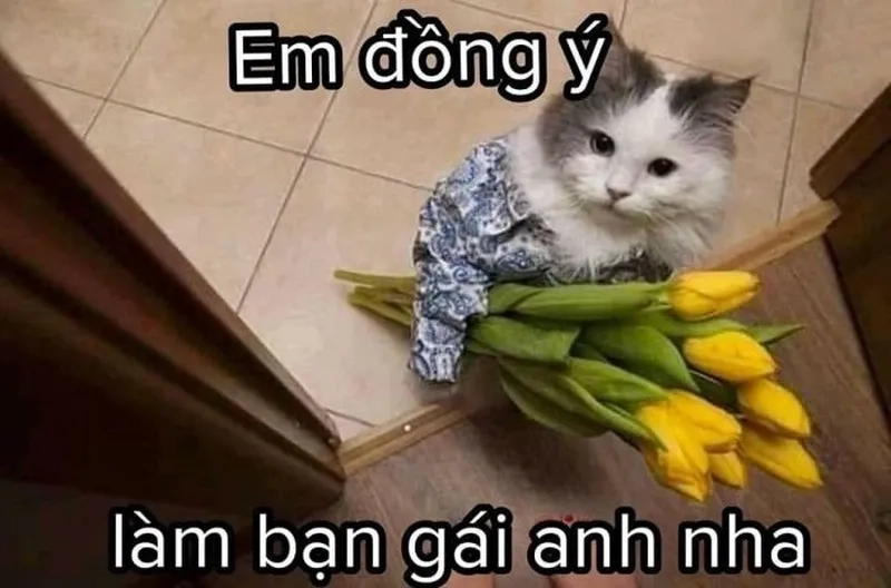 Meme mèo Tom luôn là nguồn cảm hứng tạo ra những khoảnh khắc hài hước mà bạn không thể bỏ qua.