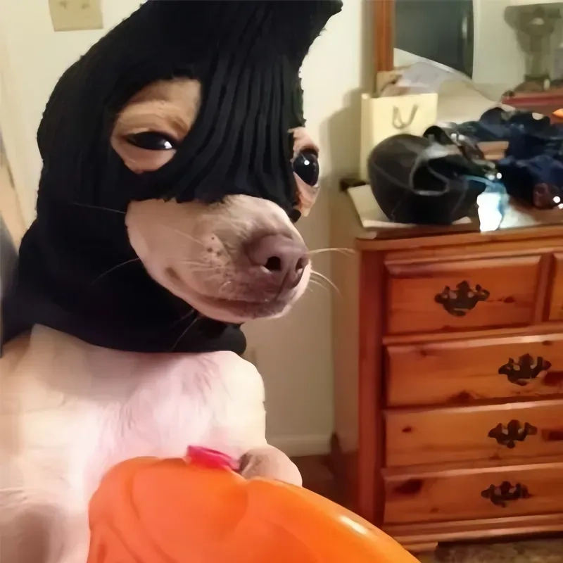 Avatar tiktok meme mang đến sự sáng tạo và hài hước, giúp bạn tạo ấn tượng mạnh mẽ trên nền tảng này