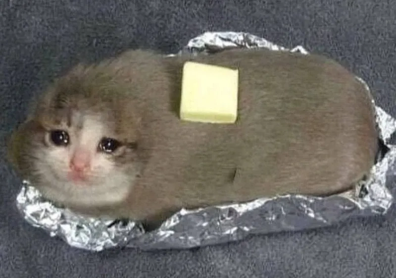 Crying banana cat meme hài hước lan truyền khắp mạng xã hội.