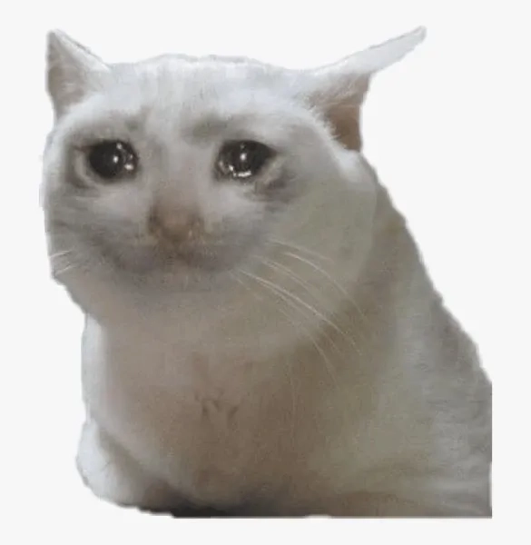 Banana cat cry meme là điểm nhấn của mọi bài đăng.