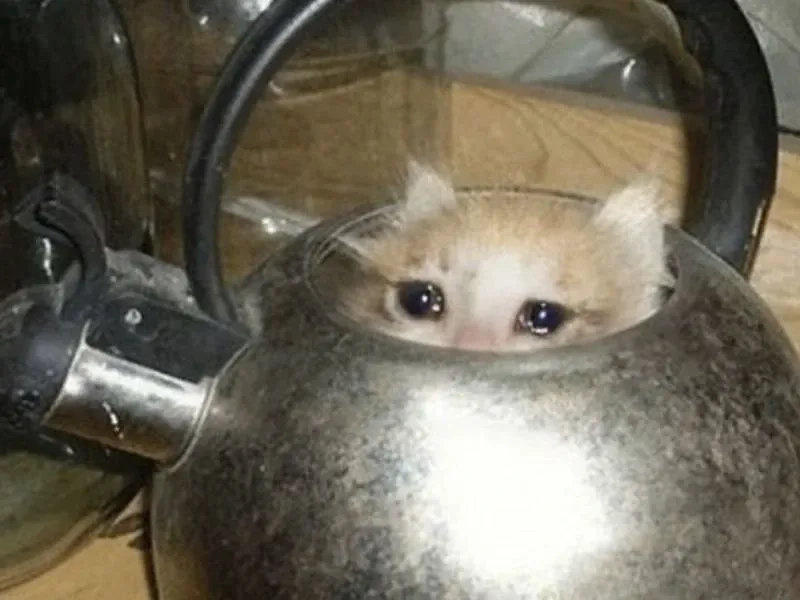 Crying meme emoji thể hiện cảm xúc không thể kiềm chế.