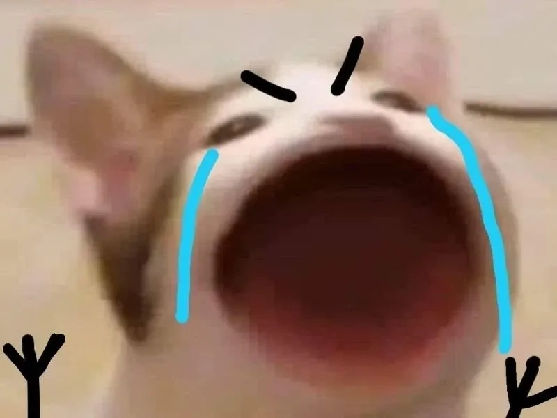 Cry laugh meme là cách thể hiện niềm vui lẫn hài hước.