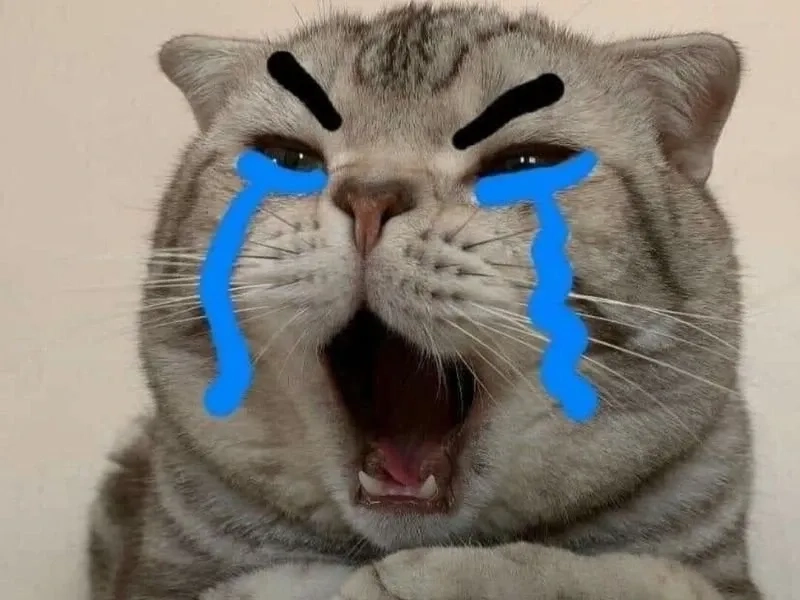 Crying pepe meme là hình ảnh kinh điển của sự cảm thông.