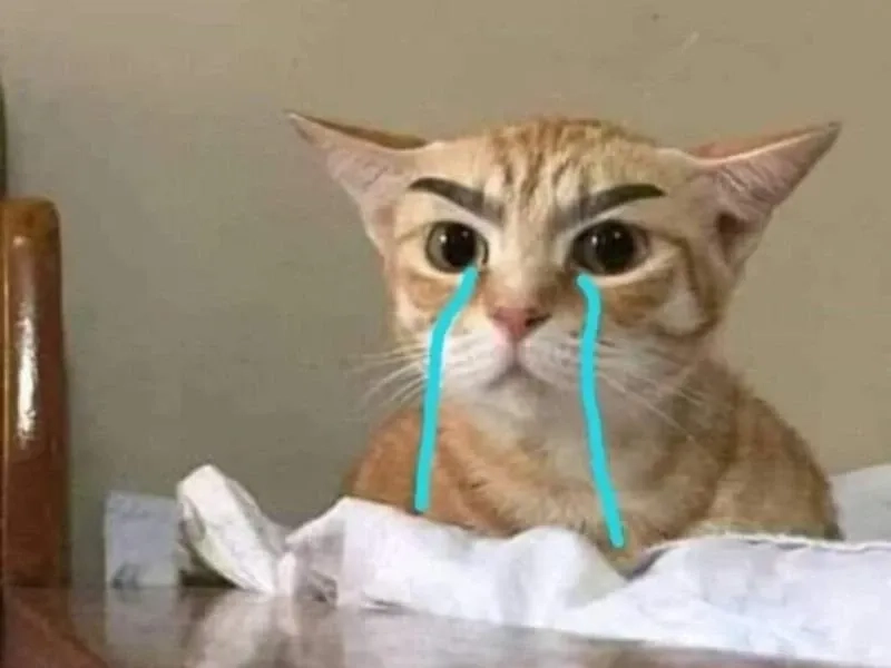 Angry crying meme giúp bạn thể hiện cảm xúc khó nói.