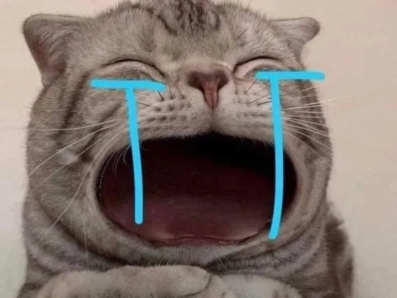 Cry money meme biểu tượng của niềm vui lẫn tiếc nuối.