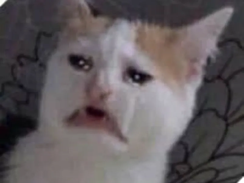 Pedro pascal crying meme là hình ảnh siêu hot hiện nay.