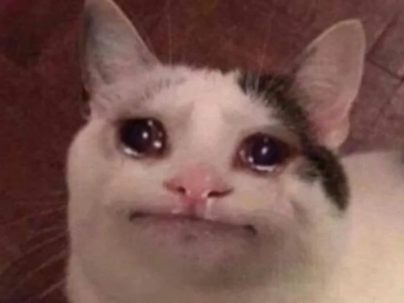 Crying meme drawing với nét vẽ cực kỳ hài hước.
