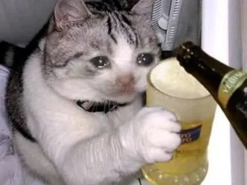 Pepe crying meme luôn gây sốt với biểu cảm độc đáo.
