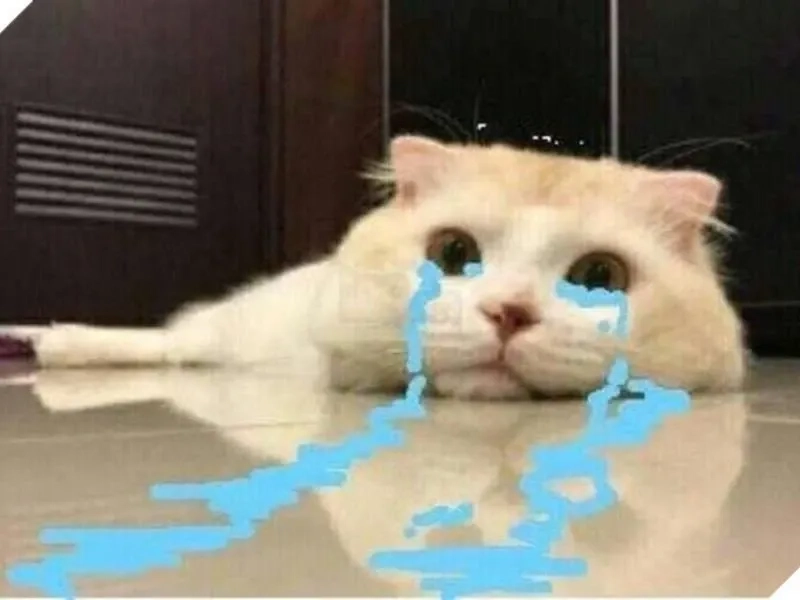 Crying jerry meme biểu cảm đáng yêu không thể cưỡng lại.