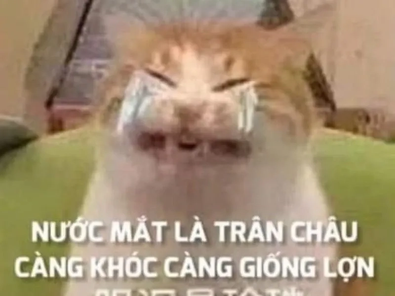 Man crying meme cực kỳ chân thực và đáng nhớ.