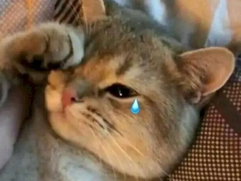 Crying girl and chad meme mang đến cảm xúc trái ngược hài hước.