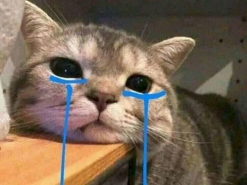 Aya asagiri crying meme là lựa chọn hoàn hảo để chia sẻ tâm trạng.