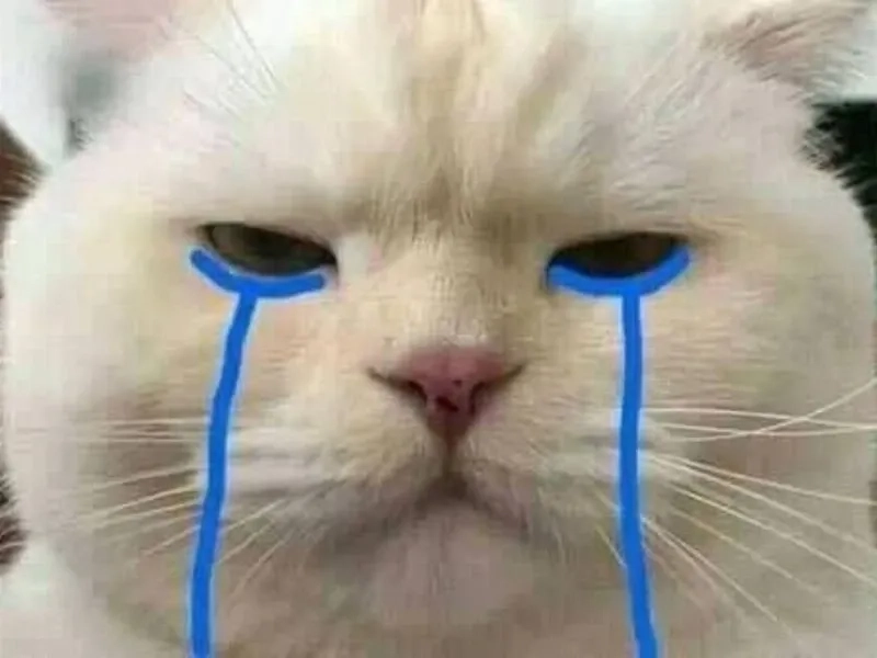 Ronaldo crying meme ghi lại khoảnh khắc cảm xúc đáng nhớ.