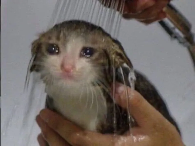Crying man meme thể hiện nỗi buồn không nói thành lời.