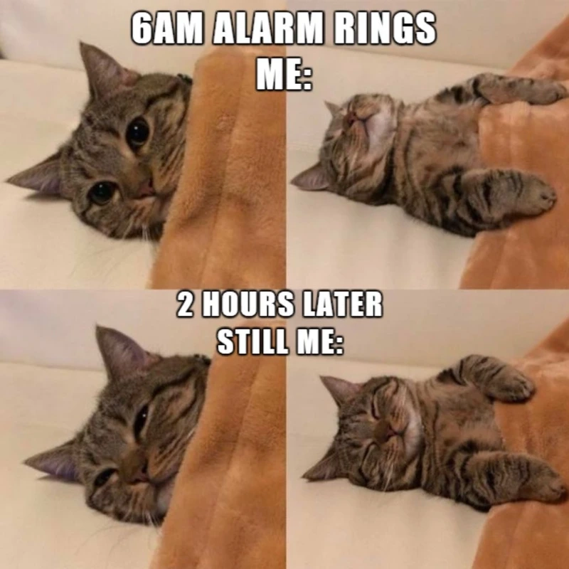 Thêm chút hài hước vào ngày của bạn với cute meme ngộ nghĩnh!