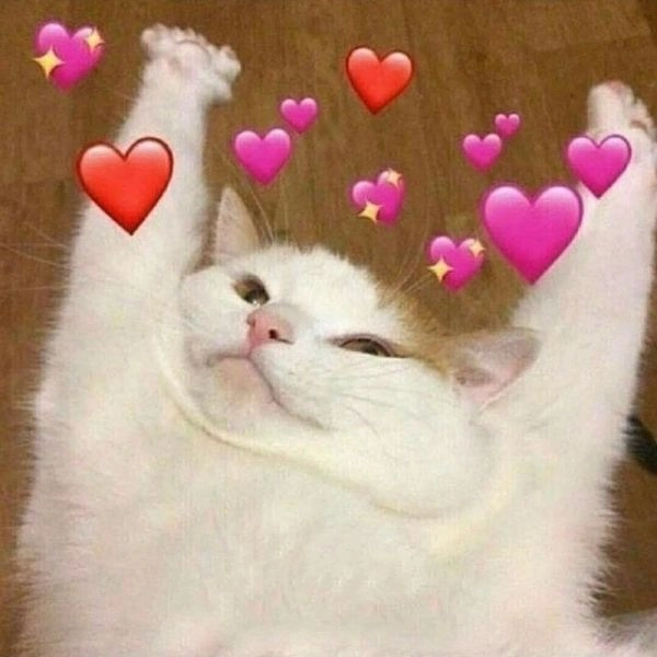 Thêm chút vui tươi với meme cute, hài cực thú vị.