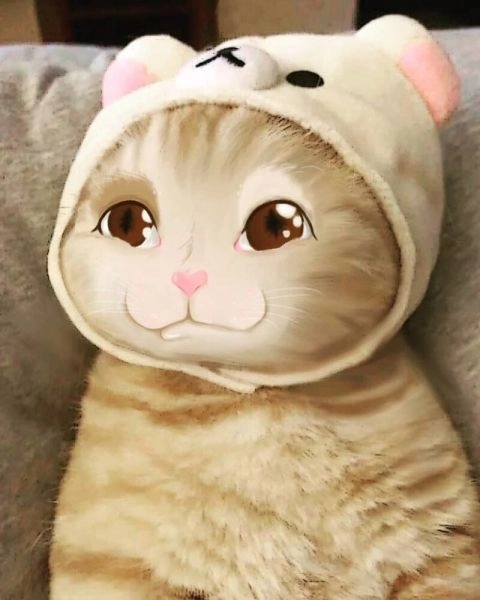 Thêm sắc màu cho ngày mới với dễ thương icon ảnh meme cute.
