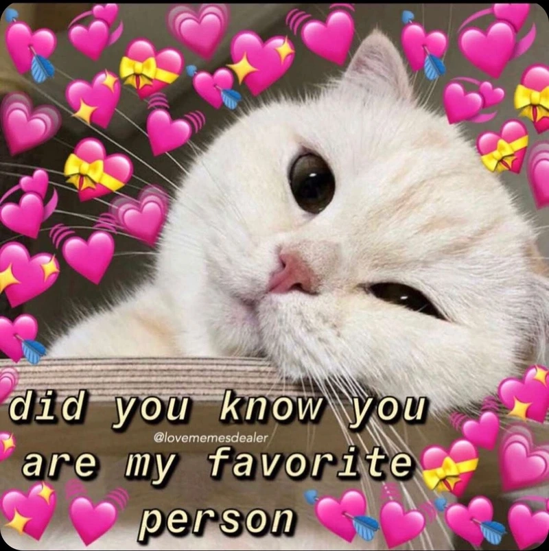 Khám phá loạt hình meme cute khiến bạn không thể nhịn cười.