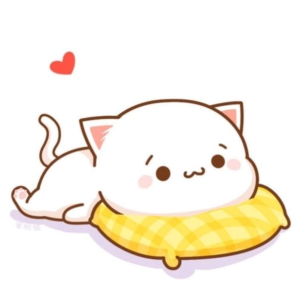 Cười vui cùng những mèo cute meme dễ thương khiến ai cũng yêu.