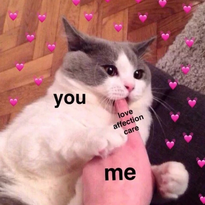 Những meme chúc ngủ ngon cute sẽ làm đêm của bạn thêm ấm áp.