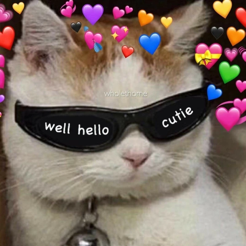 Đừng bỏ qua loạt khia ảnh meme cute siêu dễ thương này!
