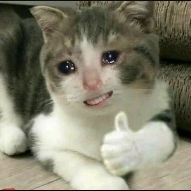 Đón nhận ngày mới với cute meme hài làm bạn bật cười.