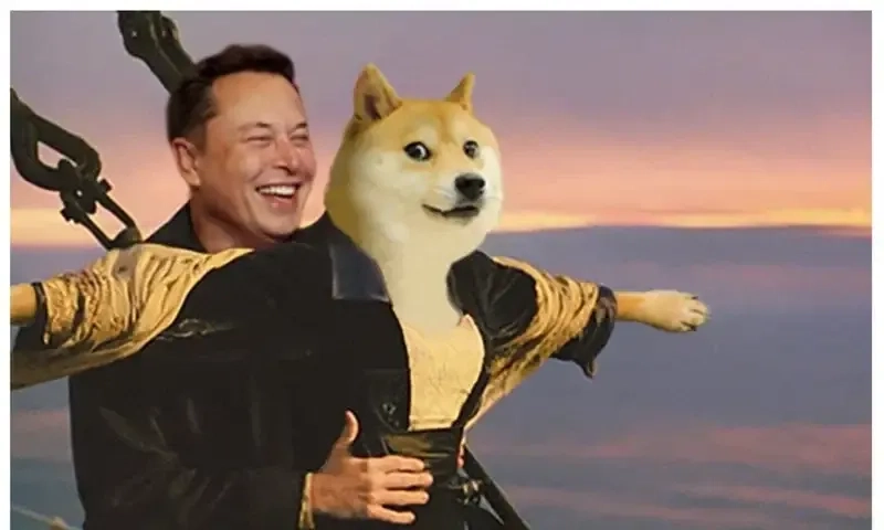 Doge meme cheems mang lại tiếng cười ngất ngây!