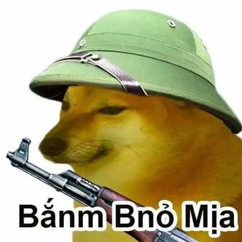 Dogecoin meme với chú chó đáng yêu khiến bạn không thể ngừng cười!