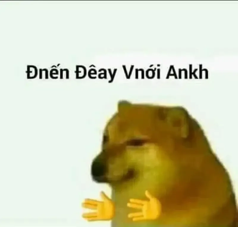 Doge bonk meme cực kỳ vui nhộn, chia sẻ ngay nhé!