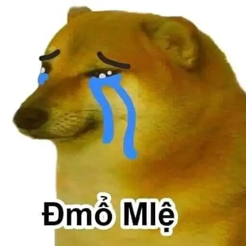 Hình ảnh cheems doge meme png này cực kỳ hài hước!