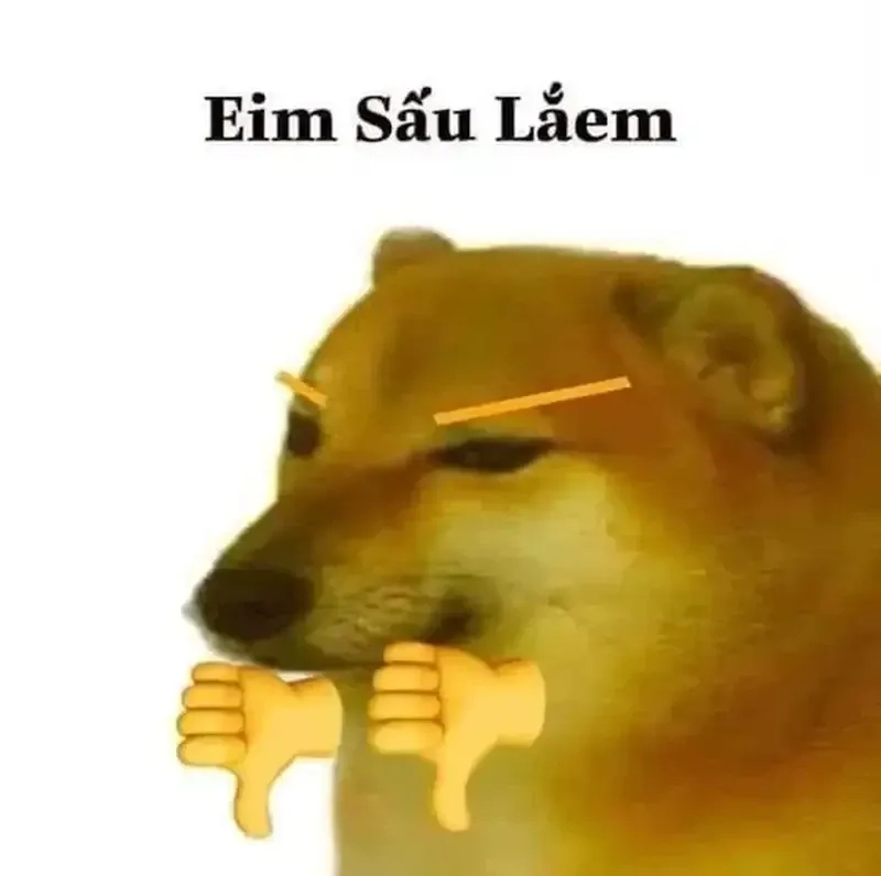 Không thể nhịn cười với doge meme chết này, rất vui!