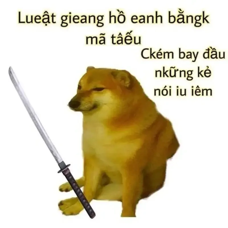 Hình doge meme này chắc chắn sẽ khiến bạn bật cười!