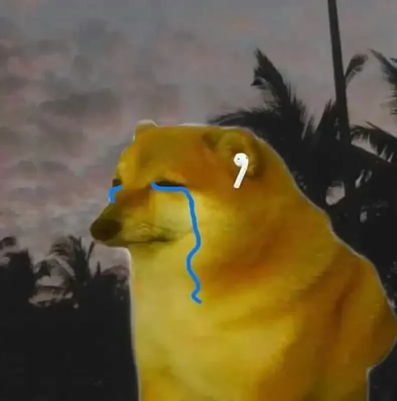 Meme coin doge sẽ mang đến những phút giây giải trí vui nhộn!