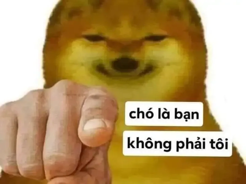 Khám phá dog power meme sea siêu dễ thương ngay hôm nay!
