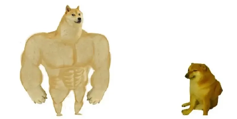 Sus dog meme này sẽ khiến bạn phải bật cười ngay!