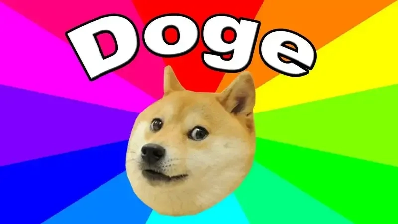 Cùng khám phá dogs meme coin cực kỳ thú vị này!