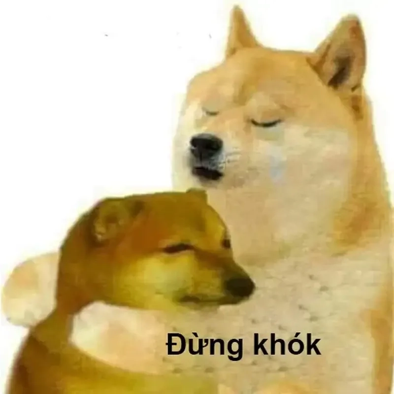 Dog meme cute này dễ thương và chắc chắn khiến bạn cười!