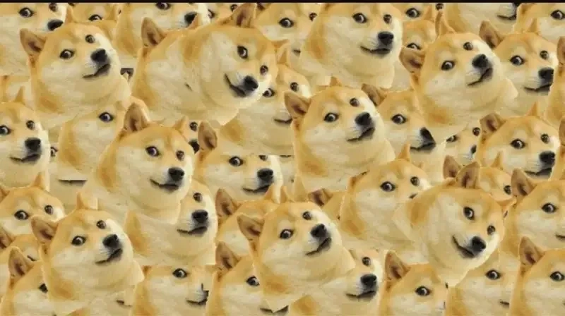 Dog bite meme khiến bạn không thể nhịn cười!