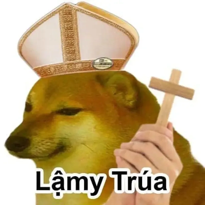 Dog smiling meme này dễ thương và cực kỳ hài hước!