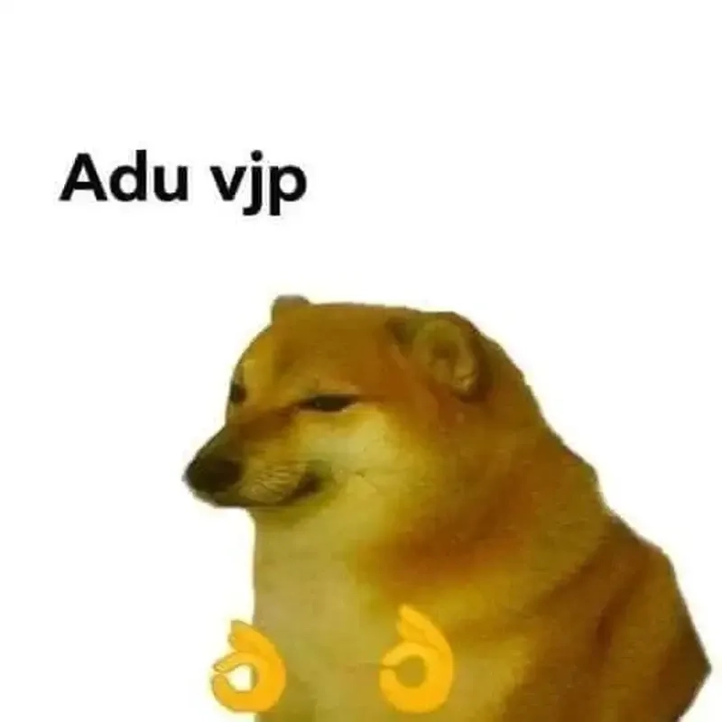Chắc chắn bạn sẽ yêu thích meme dogs cực kỳ hài hước!