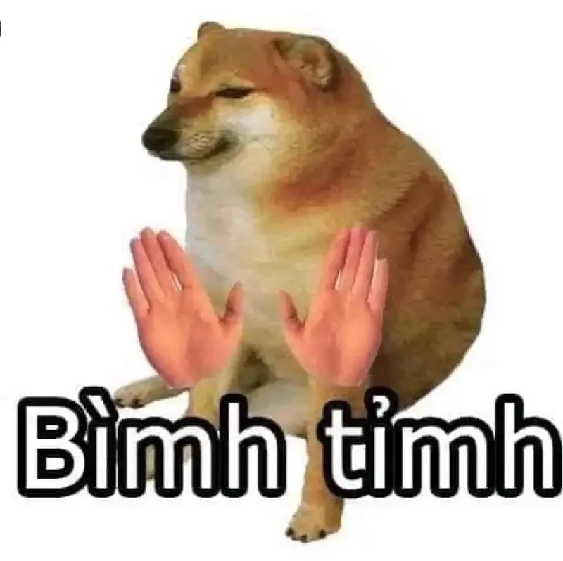 Dog meme png này cực kỳ dễ thương và đáng yêu!