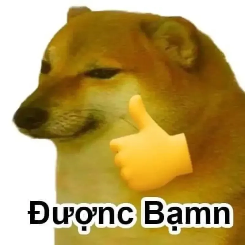 Happy dog meme này sẽ khiến bạn bật cười ngay lập tức!