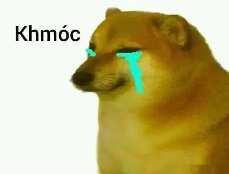 Dog cat meme này cực kỳ hài hước và thú vị!