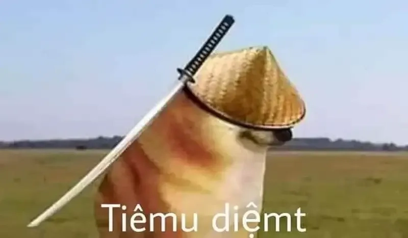 Meme dog cheems này cực kỳ đáng yêu và vui nhộn!