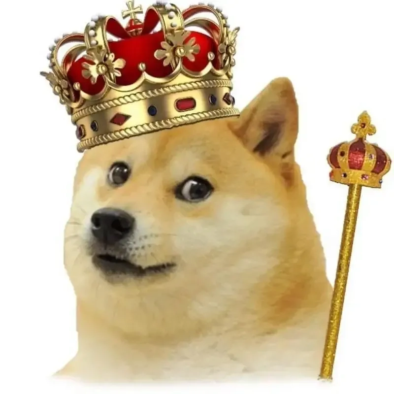 Meme sea dog power này cực kỳ dễ thương và hài hước!