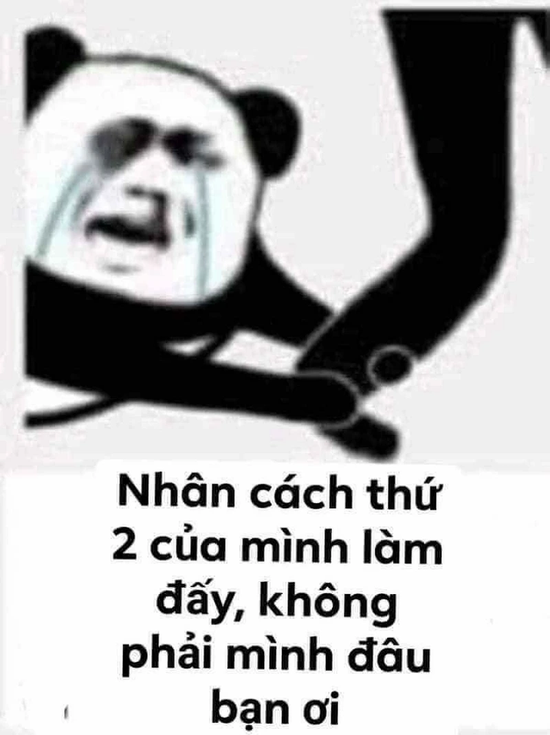 Ảnh hài weibo meme gấu trúc troll face cực kỳ hài hước và gây cười không ngừng.